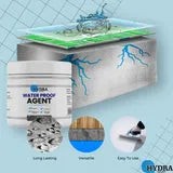 WATERPROOF ANTI-LEAKAGE AGENT with Free Brush + Free Delivery